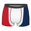 Underpants Men's Panties Boxers Underwear Flag Of France Sexy Male Shorts