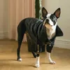Vêtements pour chiens Vêtements de printemps et d'automne Petite taille moyenne VIP Bixiong Pomegi Poupée Pet Lovers Manteau en cuir 230901
