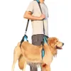 Hundkläder husdjur bär slingben stöder rehabiliteringslyftsele för funktionshindrade skadade äldre gemensamma skador Artrit 230901