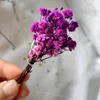 Decorative Flowers Gypsophila Dried Small Floral Wedding Mini Bridesmaid Bouquets Table Card Po Props DIY Craft Home Decoration