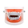 Ghiacciato Zirconi Cubici Teschio Denti Grillz Oro Reale 18K Punk Hip Hop Diamante Pieno Fang Griglie Brace Dente Cap Rapper Gioielli per il Corpo per Cosplay Festa in Costume di Halloween