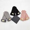 Gants d'hiver en cuir pour hommes et femmes, écran tactile en peluche, pour le cyclisme, avec gants chauds et isolés en peau de mouton, AAAAA6695