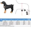 Abbigliamento per cani Ginocchiere per cuccioli di animali domestici Bretelle per gambe posteriori per cani feriti Supporto per tutore per lesioni articolari Recupera accessori di protezione 230901