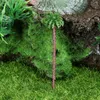 Decorações de natal árvore mini palmeiras modelo cenário em miniatura decoração coco terrário bolo trem jardim recipientes paisagem casa