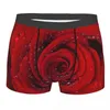 Cuecas masculinas calcinha boxers roupa interior pétalas de rosa vermelha com gotas de chuva sexy shorts masculinos