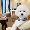 Vêtements de chien Fashion Stripes Boutons Pet Dogs Vêtements Gilet d'été Chiot respirant pour petit moyen tricot bouledogue français 230901