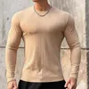 Men's T Shirts Shirt Solid Colors Long Sleeve Slim T-shirt Young Men Pure Color Tee 3XL Size O Neck Casual