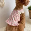 Vêtements pour chiens INS Vêtements mignons pour petits chiens Rose Rose Robes en dentelle Teedy Chihuahua Yorkie Printemps Doux Animaux Drop