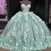Sage verde brilhante vestido de baile quinceanera vestidos rendas apliques 3dflower sweet16 vestido festa aniversário vestidos de 15 anos