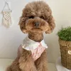 Vêtements pour chiens INS Vêtements mignons pour petits chiens Rose Rose Robes en dentelle Teedy Chihuahua Yorkie Printemps Doux Animaux Drop