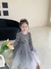 Kids Girl Dresses Girl's Dancewear Autumn Winter Girl Cosplay Costumes Handwork Luxurious Sequins Princess