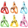 Collari per cani 7 colori Pettorina di sicurezza per animali domestici LED Lampeggiante Guinzaglio Corda Cintura Collare Gilet Forniture SN3507