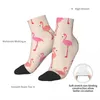 Men's Socks Cute Flamingo Illustration Short Unique Casual Breatheable Adult Ankle