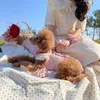 Vêtements pour chiens INS Vêtements mignons pour petits chiens Rose Rose Robes en dentelle Teedy Chihuahua Yorkie Printemps Doux Animaux Drop
