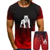 Men's Tracksuits Shirts - PITBULL Herren T-Shirt DOG BAD HUND