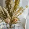 Fleurs décoratives pays fête de mariage arc décoration accessoires séché plante naturelle branche de Cycas Eucalyptus décor à la maison ventilateur de palmier sec
