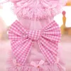 Vêtements pour chiens OIMG Plaid Bow Petite robe de princesse pour vêtements pour animaux de compagnie Yorkies Teddy Schnauzer Printemps Été Chiot Jupe Solide Dentelle Vêtement