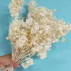 Flores decorativas secas preservadas amor-perfeito branco pequeno selvagem natural real seco casa casamento cozinha gardeni decoração buquê arranjo