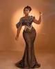 2023 Aso Ebi Arabic Mermaid Brown Prom Dress Beaded Crystals Sexy Evening Formal Party Second Reception Birthday Engagement Gowns Dresses Robe De Soiree ZJ239