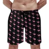 Men's Shorts Pretty Birds Board Summer Peacock Feathe Print Running Beach Male Comfortable Classic Large Size Trunks