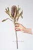 Fleurs décoratives pays fête de mariage arc décoration accessoires séché plante naturelle branche de Cycas Eucalyptus décor à la maison ventilateur de palmier sec