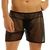 Underpants Gays Fashion Mesh Boxer Shorts Loose Panties Sheer Nightwear Trunks Transparent Men's Underwear Sexy Lingerie Elastic Waist Belt