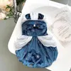 Vêtements pour chiens Pet Fairy Tale Princesse Jupe Automne Hiver Moyen Petit Designer Vêtements Chaton Chiot Mignon Poncho Yorkshire Maltese