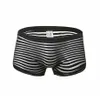 Mens Underwear Striped Boxer Seamless Slip Homme Men Panties Sexy Transparent Penis Underwear Breathable See Through Underpants2556