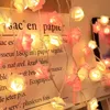 Altri articoli per feste a LED Luci a LED con fiori di rosa USB A batteria Fata Natale Stringhe di illuminazione per esterni a LED Decorazione del giardino 230901