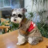 Giacca di jeans per cani moda Cappotto caldo per cani di alta qualità Vestiti Schnauzer Bichon Corgi Teddy Puppy Pet Autunno Inverno Camicie