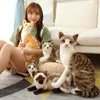 Animaux en peluche en peluche, chats réalistes, simulation de cheveux courts, poupée de chat mignon, jouets pour animaux de compagnie, décoration de maison, cadeau d'anniversaire pour filles