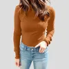 Camicette da donna Maglioni dolcevita da donna Autunno Inverno Pullover slim Collo alto Top basic Casual Maglione morbido lavorato a maglia Maglione caldo Sottosmalto