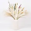 Dekorativa blommor naturliga pampas gräsdekor torkad för vase boho hem pompas blommig bukett bröllop vardagsrum bondgård