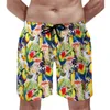 Men's Shorts Gym Tropical Birds Vintage Swim Trunks Flamingo Fandango Males Fast Dry Surfing High Quality Plus Size Beach