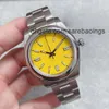 ST9 Steel Watch Fixed Doined Bezel 36mm Yellow Dial Automatic Mechanical R Series Brilliant Mens Watches Lysande händer och markörer tittar på No Date Wristwatches S3MR