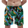 Men's Shorts Tropical Birds Board Daily Men Beach Pants Palm Leaves Print Plus Size Classic