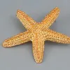 Boucles d'oreilles d'été étoile de mer dorée pour femme, accessoires bijoux de vacances