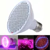 البيع الساخن LED LED LIGHT 24W 200-LED COLLE PLACTRUM PLANT GROW GROW LIGHT E27 HYDROPONIC SYSTEM LAMPS LAMPS for Flower VEG LL