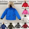 Çocuk tasarımcısı ceket kış ceketi erkek kız bebek dış giyim ceketleri rozeti ile kalın sıcak dış giyim katlar çocuklar parkas moda klasik parkas kanada