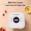 Otros utensilios de cocina 2L Smart Rice Cookers 13 personas Sopa casera Multifuncional Integrado Cocina eléctrica de alta capacidad Multicooker 230901