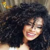 Zikria Remy Human Hair Weave Mongolian Kinky Curly Lace Front Human Hair Wigs Indian Peruvian Malaysian Culry258G