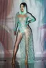 Stage Wear Green Mesh Gaze Plumes Body Force élastique Perspective Danse Discothèque Outfit Lady Performance Costume