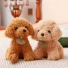 Animais de pelúcia de pelúcia 20cm simulação cão brinquedo de pelúcia filhote de cachorro boneca pegar nova boneca presente do dia das crianças presente
