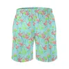 Men's Shorts Gym Tropical Birds Vintage Swim Trunks Flamingo Fandango Males Fast Dry Surfing High Quality Plus Size Beach