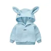 Hoodies Sweatshirts Kinderkleidung Jungen und Mädchen T-Shirts Frühling Herbst süße Baumwolle dünne Top Babykleidung für 14 Jahre ein Stück Verkauf 230901