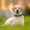 Halsbanden Hondenhalsbanden Gepersonaliseerde aangepaste leren halsband Naam ID-tags voor kleine, middelgrote en grote honden Pitbull Bulldog Beagle Correa Perro 230901
