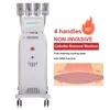 Fast Cooling Cryolipolysis 4/8 Cryo Paddles Freezing Slimming Fat Cellulite Removal Cryo Plates With Ems RF Technology