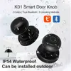 Kapı Kilitleri Raykube K01 Tuya Bluetooth Akıllı Kapı Kiliti Otomatik Silindir Su Geçirmez Paraşım Parmak İzi Elektronik Kilit düğmesi Uygulaması/Anahtar/Parmak İzi Kilidi HKD230903