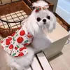 Vêtements pour chiens Vêtements pour animaux de compagnie Robe de fruits pour chiens Vêtements Chat Petite cerise Imprimer Mignon Mince Printemps Été Blanc Mode Yorkshire Accessoires