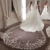 Elegant katedralbröllopslöjor med 3D -blommor Appliced ​​2 5 m lång brudslöja tyll med kam för kvinnor hårtillbehör249d